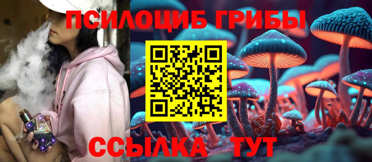 Отрадный  Псилоцибиновые грибы GOLDEN TEACHER  Вход с VPN 